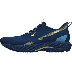 Mizuno WAVE RIDER TT 2 Pánská běžecká obuv, modrá, velikost 40.5