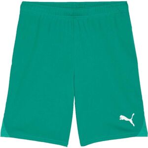 Puma TEAMGOAL SHORTS Pánské fotbalové šortky, zelená, velikost