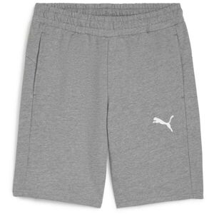 Puma TEAMGOAL CASUALS SHORTS Pánské kraťasy, šedá, velikost XXXL