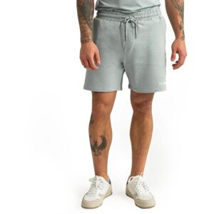 GymBeam LIMITLESS Pánské šortky, šedá, velikost